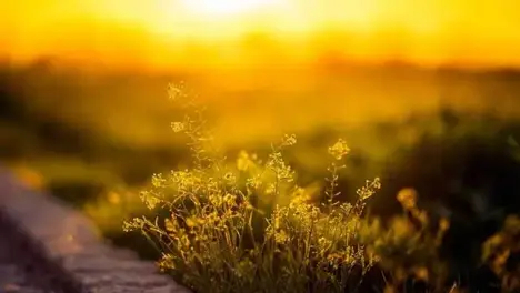 IG战队全球总决赛队服标识揭秘：赞助商提前布局凸显电竞商业价值